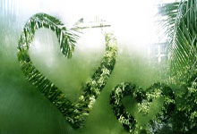 巴伦西亚主场击败马拉加，士气高涨